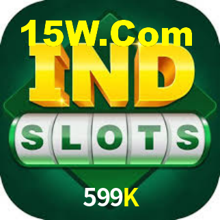 599K App Interface